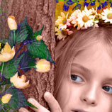 Denise Bory