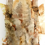 carolyn desoucey