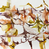 carolyn desoucey