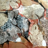 carolyn desoucey