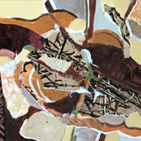 carolyn desoucey