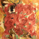 dina fine